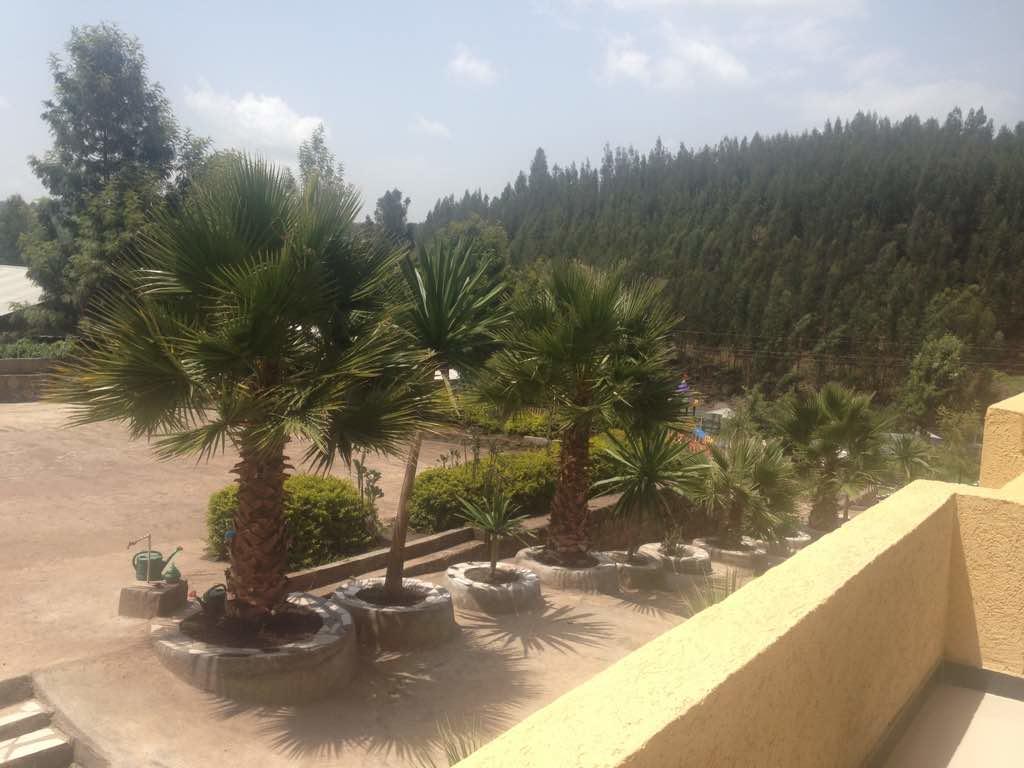 Joamla Hotel Dessie Exterior photo